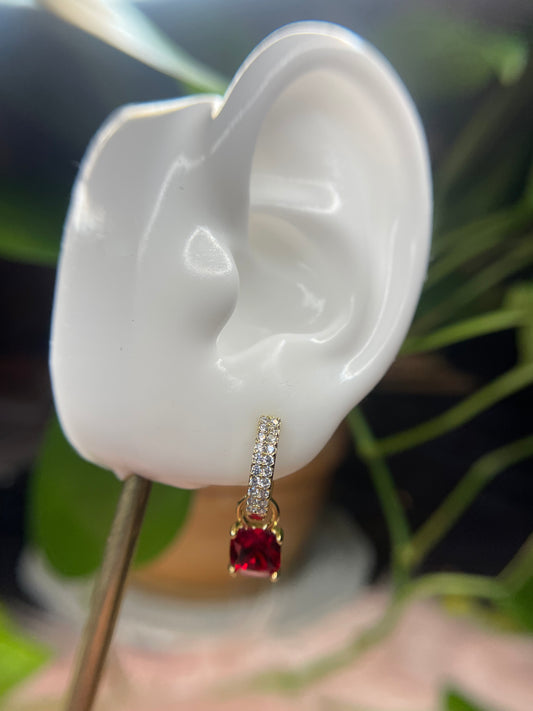 Small red earrings