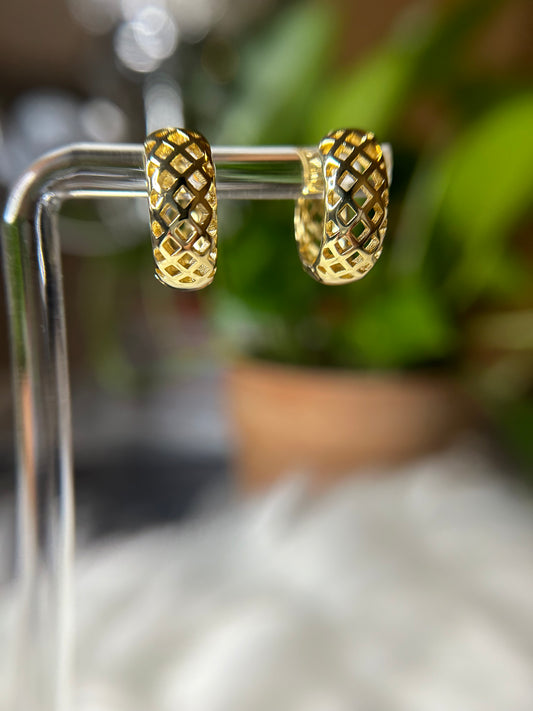 Small hoop earrings