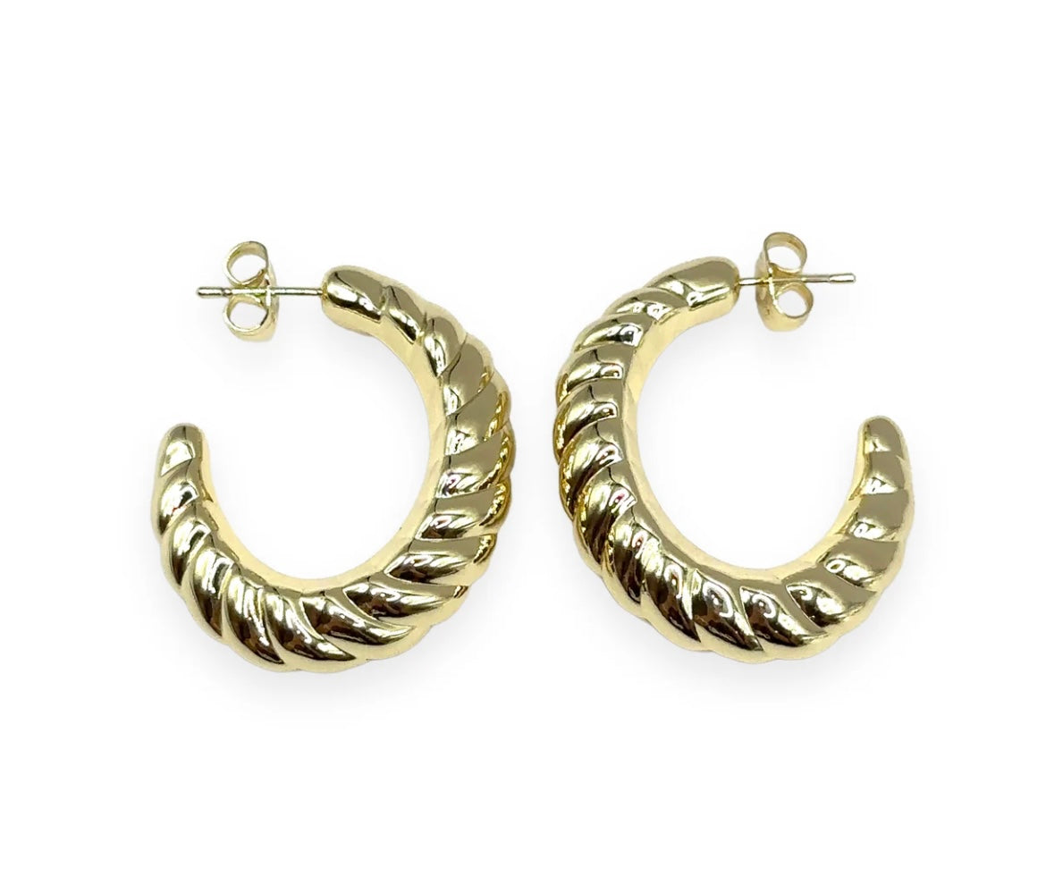 Ox horn earrings